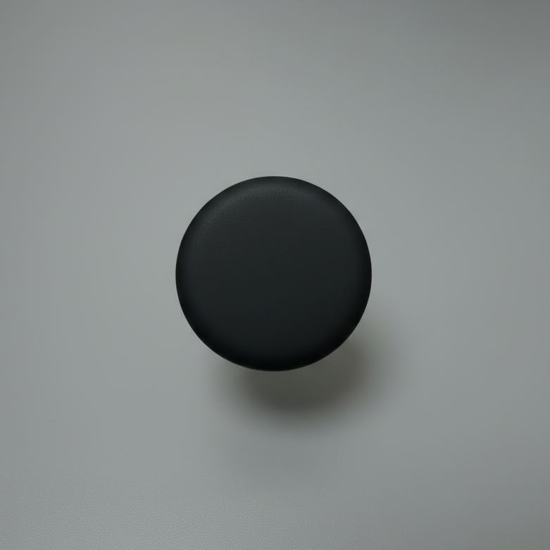 Black round pet accessory on light background, modern minimalist style