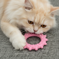 Fluffy cream cat playing with pink textured chew toy on gray fabric surface