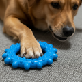 Dog playing with blue rubber chew ring toy on gray fabric surface