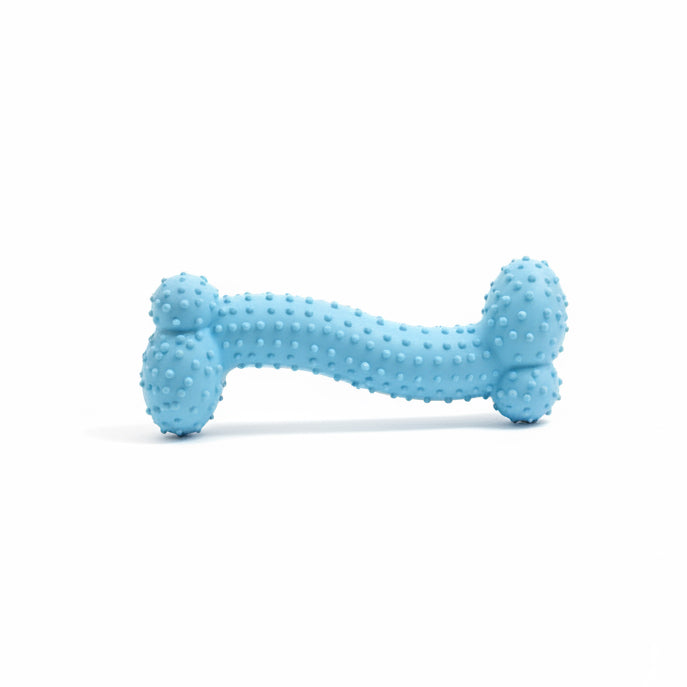 Textured Bone Chew Toy - Blue