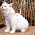 White cat wearing pink harness with blue flower accessory sitting on wicker chair