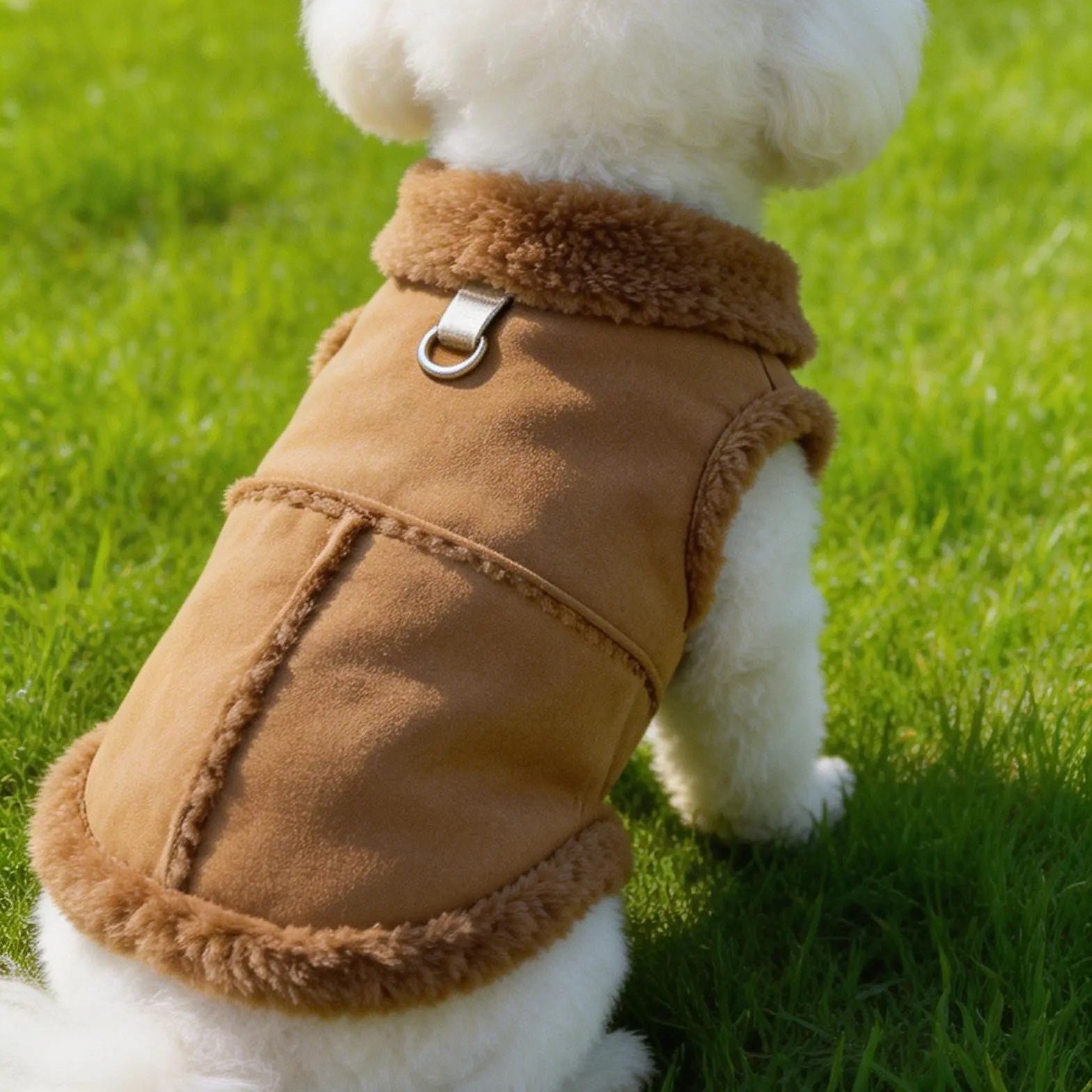 Small dog wearing a brown fleece pet jacket with harness ring, sitting on green grass