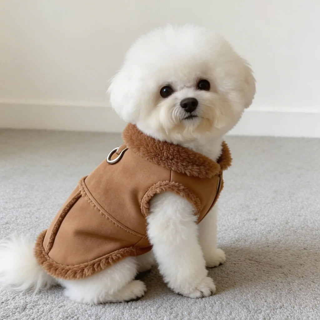Small white fluffy dog wearing a brown fleece-lined pet jacket on a carpeted floor