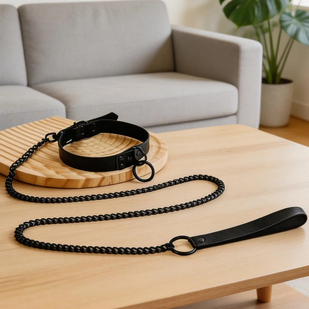 Black pet leash and collar set on wooden table in modern living room
