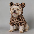Small dog wearing a leopard print hoodie with bear ears, stylish pet clothing on gray background.