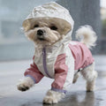 Small dog in pink and white raincoat walking outdoors on a rainy day
