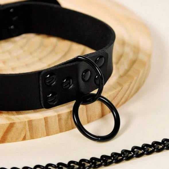 Black pet collar with metal rings and chain on wooden display, stylish pet accessory