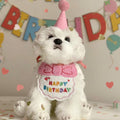Small white dog in birthday outfit with pink party hat and happy birthday bib, festive backdrop