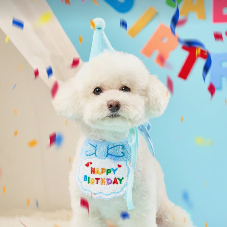 White poodle wearing a blue birthday hat and happy birthday bib with confetti