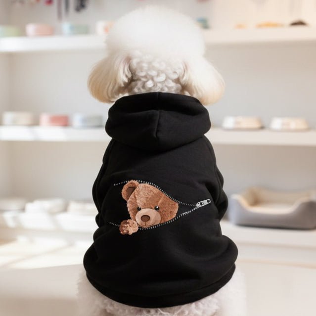 Small dog in black hoodie with teddy bear design, pet clothes in cozy home setting