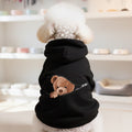 Small dog in black hoodie with teddy bear design, pet clothes in cozy home setting