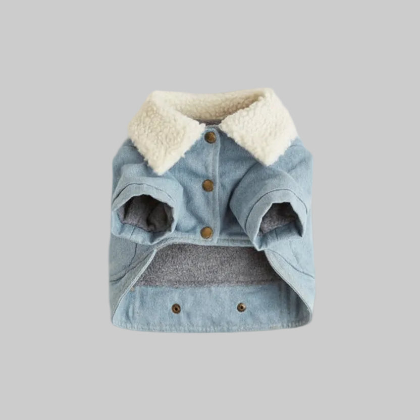 Blue denim dog jacket with white faux fur collar and snap buttons on gray background