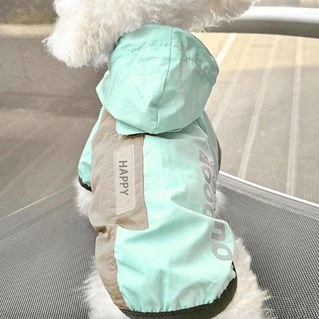 Small dog in mint green hooded pet jacket with 'HAPPY' label, sitting on a mesh chair