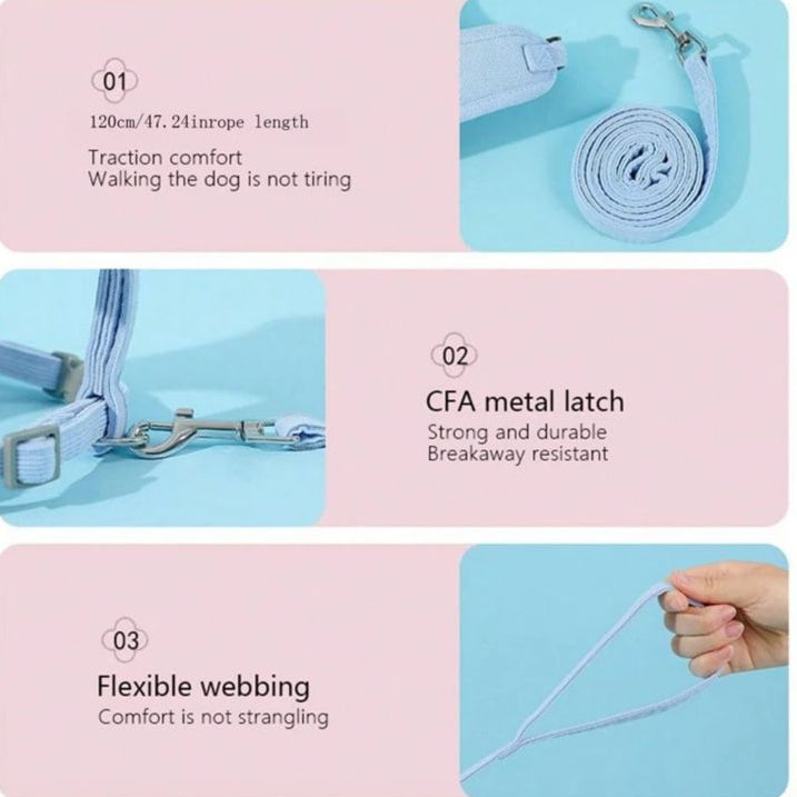 Light blue pet leash with CFA metal latch, flexible webbing, and 120cm length on pastel background