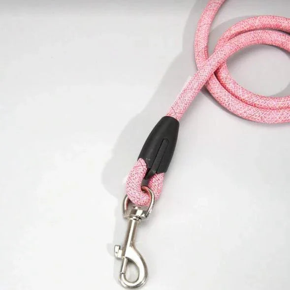 Pink rope dog leash with metal clip, pet accessory on white background