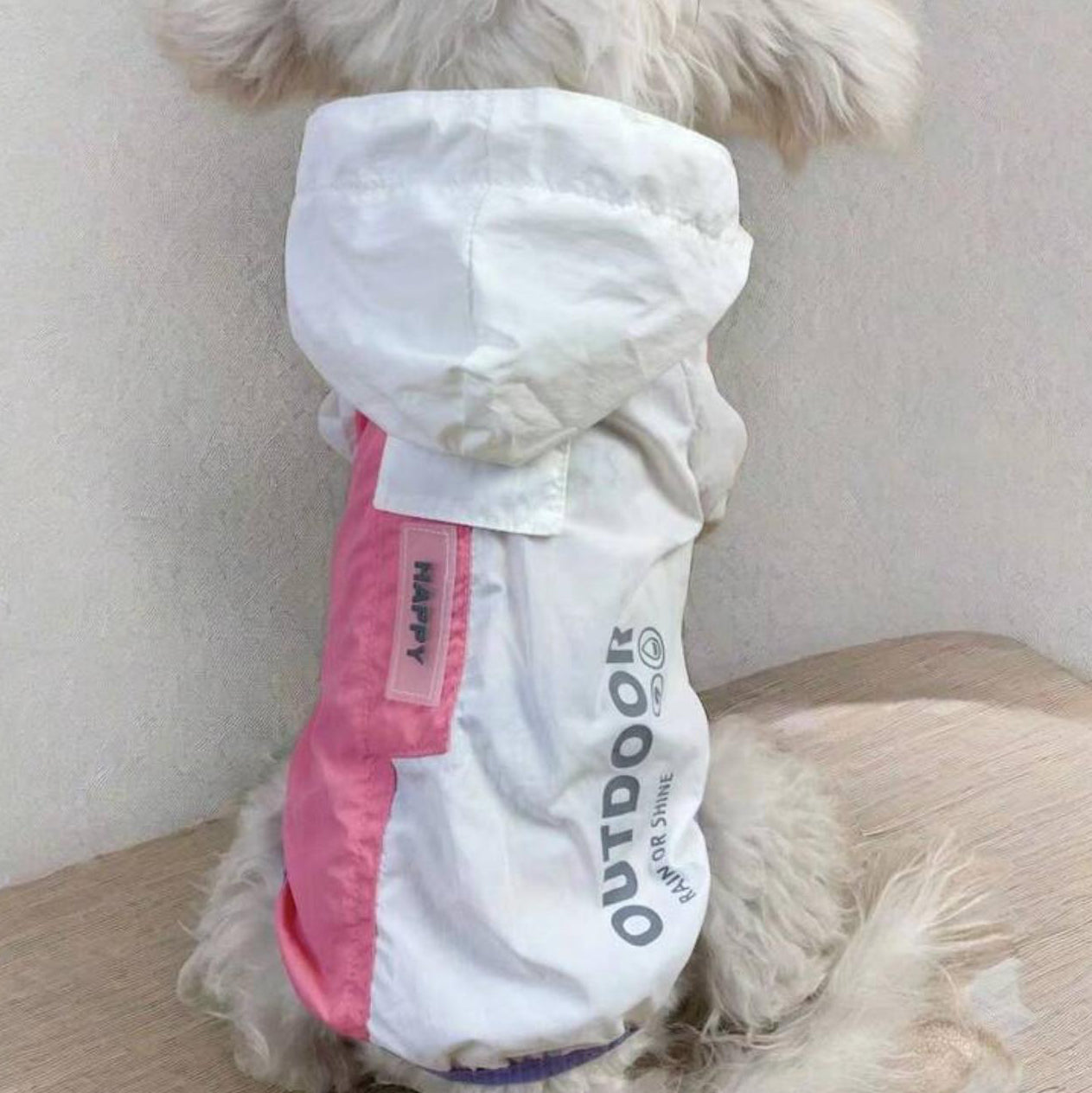 Small fluffy dog wearing a white and pink outdoor pet jacket with hood and 'OUTDOOR' text