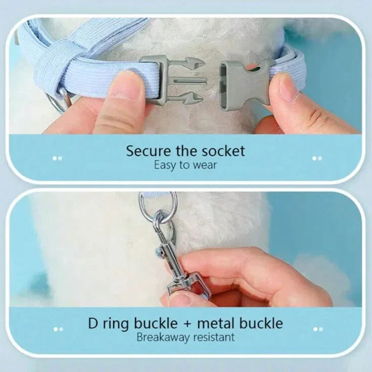 Light blue dog collar with secure plastic buckle and metal D ring, easy to wear and breakaway resistant.