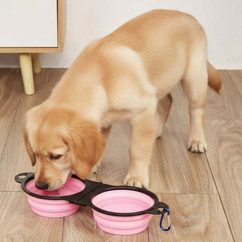 Golden retriever puppy drinking water from pink collapsible dog bowls on wood floor