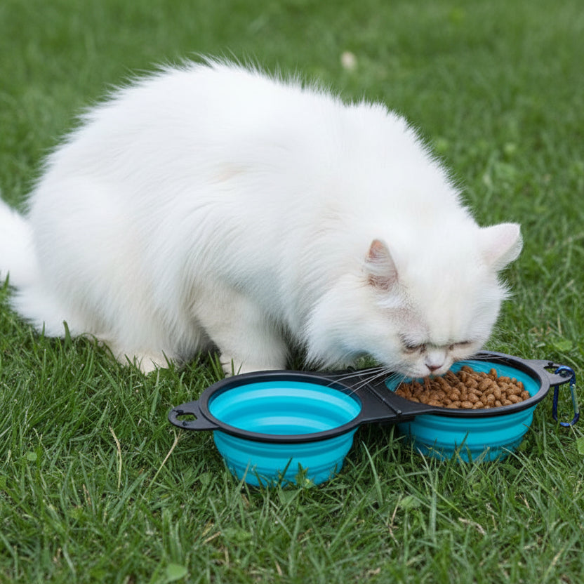 White fluffy cat eating dry food from blue collapsible pet bowls on grass outdoors