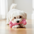 Textured Bone Chew Toy - Pink